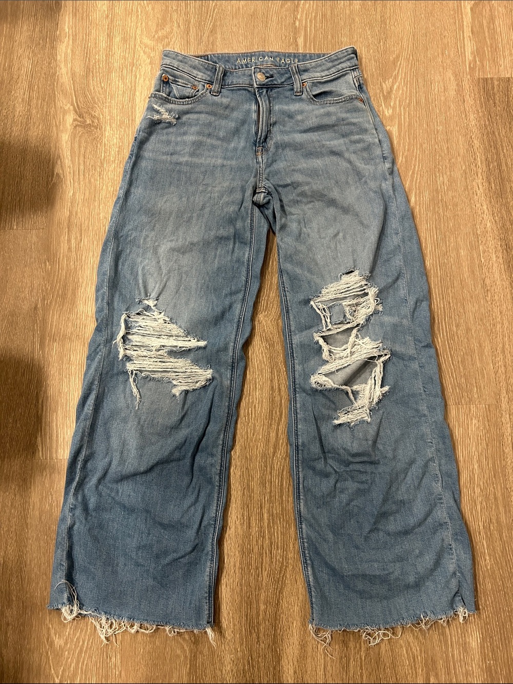 American Eagle Outfitters - Distressed Low-Rise Baggy Wide Leg Jeans